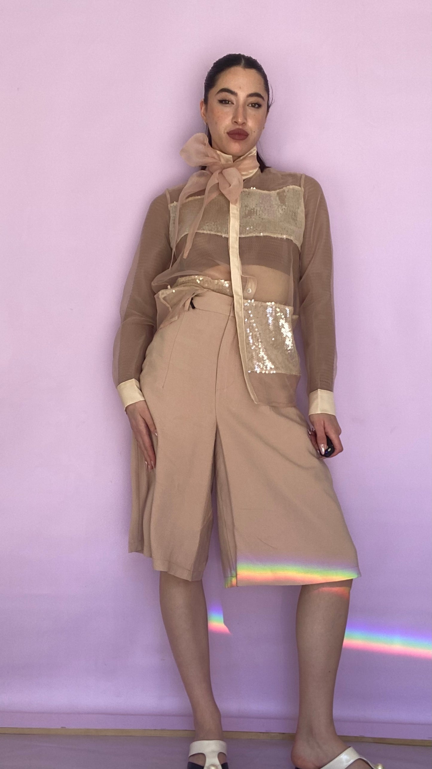 Organza sequin blouse