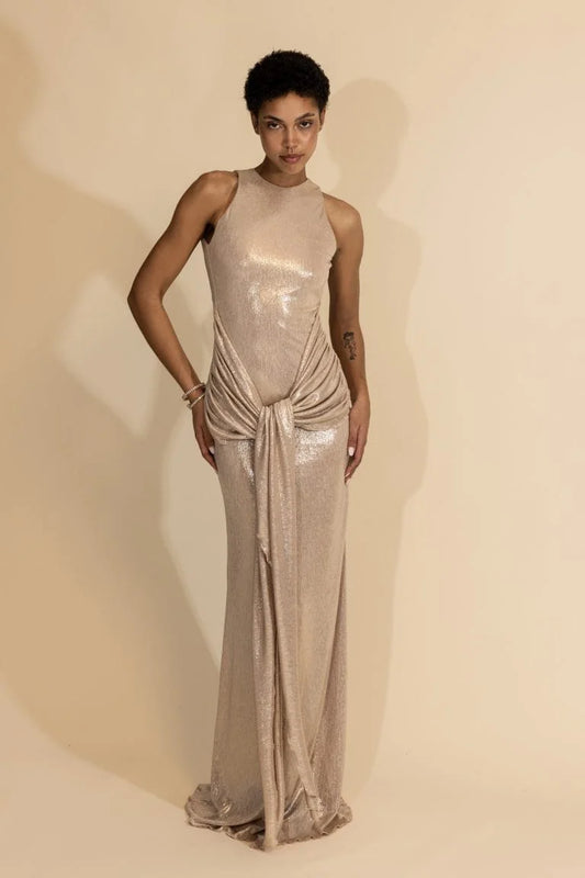 Seren stunning shimmering long dress